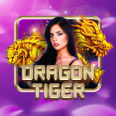 Dragon Tiger playtime apk link