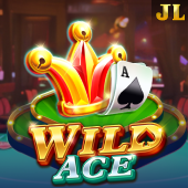 Wild Ace playtime apk com